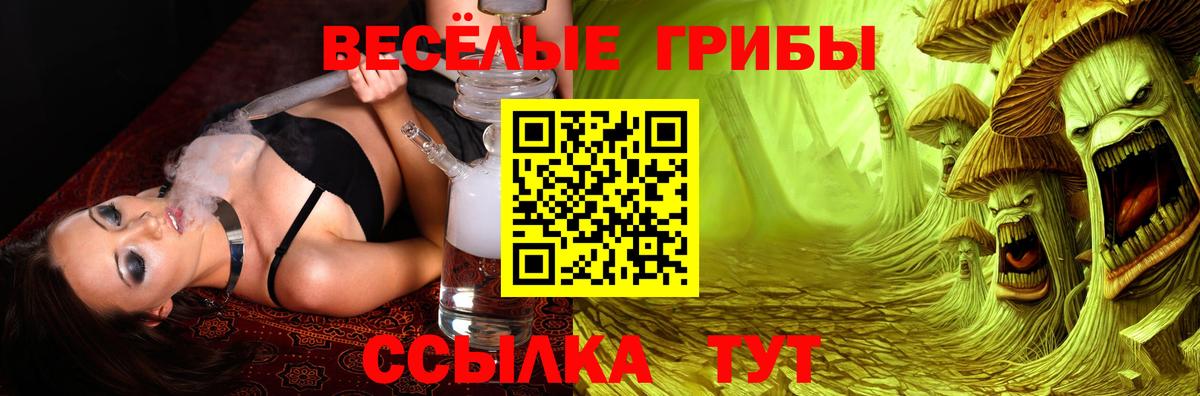 Псилоцибиновые грибы мицелий  Вход с VPN  наркошоп  Нарткала 